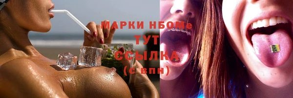 прущие грибы Арсеньев