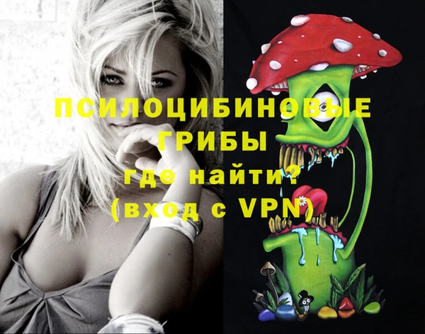 прущие грибы Арсеньев