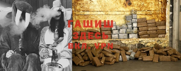 прущие грибы Армянск