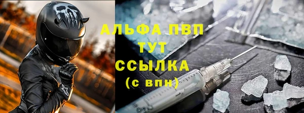 прущие грибы Армянск