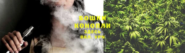 прущие грибы Арсеньев