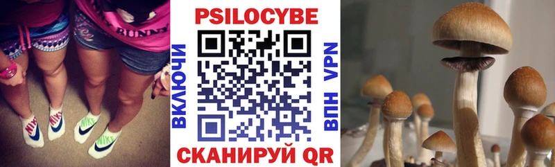 Псилоцибиновые грибы Magic Shrooms darknet какой сайт Ухта